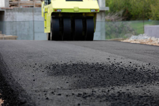 Best Local Driveway Pavers  in Palo Cedro, CA