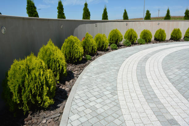 Best Commercial Driveway Pavers  in Palo Cedro, CA